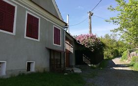Casa De Vacanta Enea